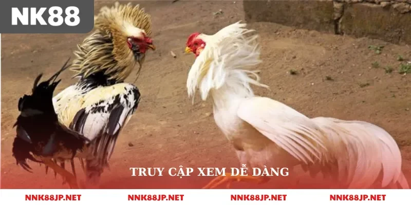 Truy cập xem dễ dàng